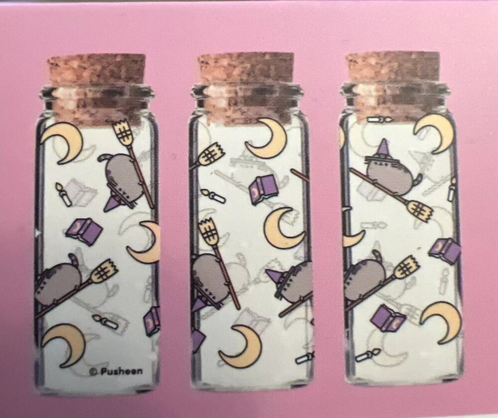 Pusheen Witch Potion Bottles Fall 2024 Halloween 3 Pack Flying Broom Limited